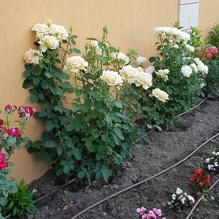 Boulevard Sea Апартхотел